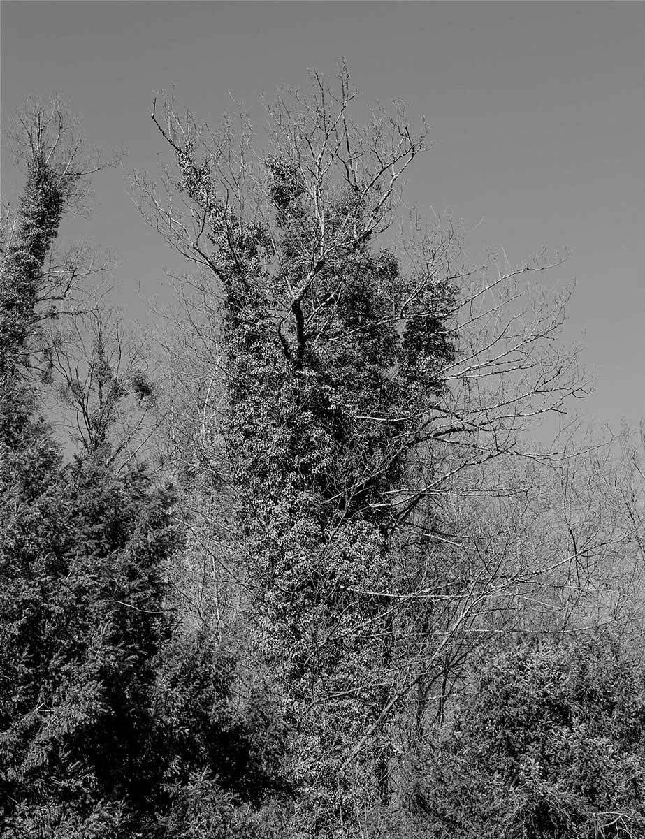 archive_series_9